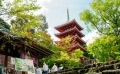 竹林寺 (1024x683).jpg