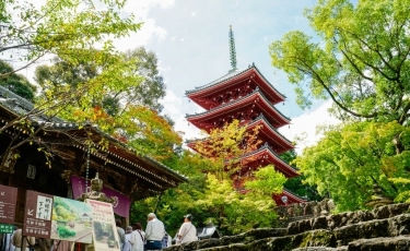 竹林寺 (1024x683).jpg